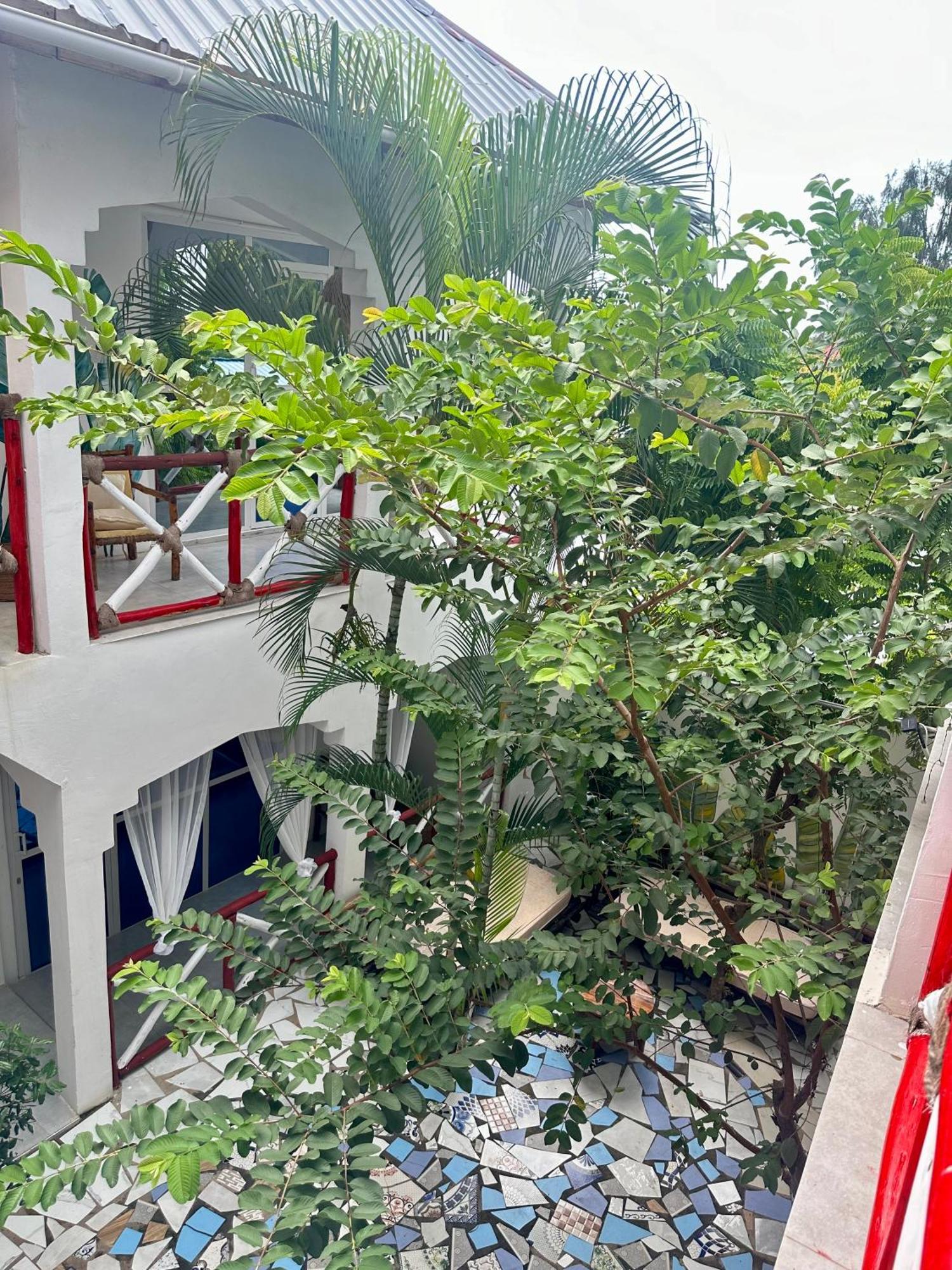 Pole Pole House Hotel Nungwi Ngoại thất bức ảnh