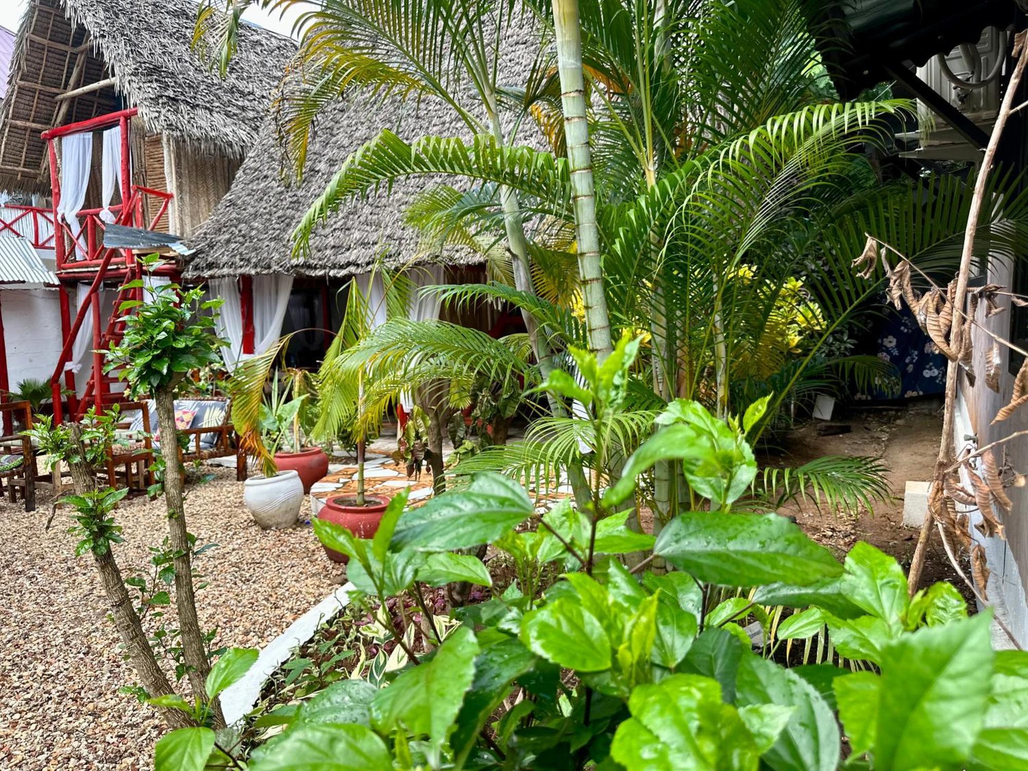 Pole Pole House Hotel Nungwi Ngoại thất bức ảnh